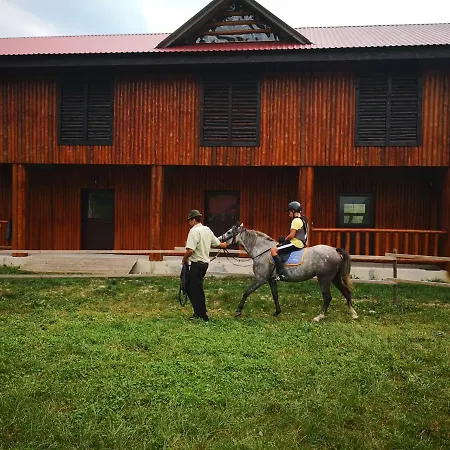 Carpathia Hotel Remeţi