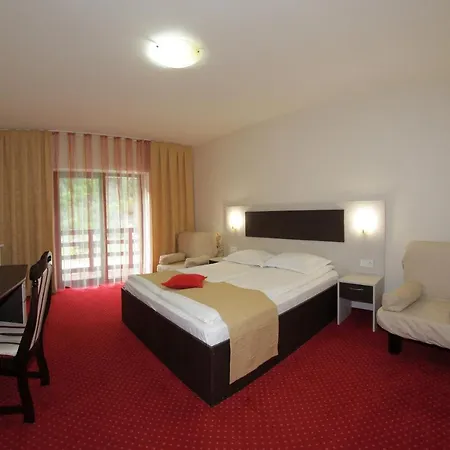 Carpathia Hotel 3*