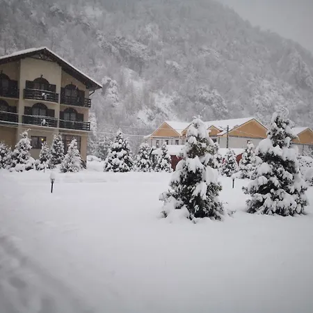 Carpathia 3* Onceşti